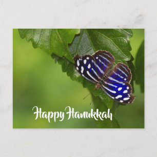 Cartes Pour Fêtes Annuelles Joyeux papillon bleu et blanc Hanoukka
