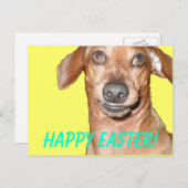 Cartes Pour Fêtes Annuelles Joyeux Pâques ! (Devant / Derrière)