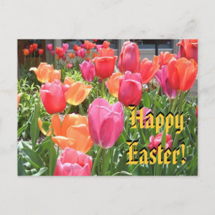 Cartes Pour Fêtes Annuelles Joyeux Pâques !