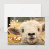 Cartes Pour Fêtes Annuelles Joyeux Pâques à EWE. (Devant / Derrière)