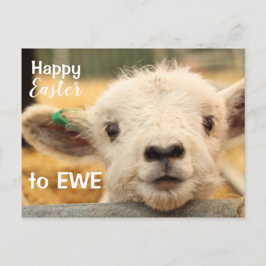 Cartes Pour Fêtes Annuelles Joyeux Pâques à EWE. (Devant)