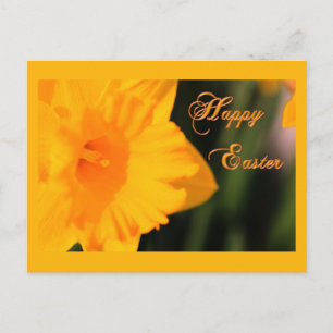 Cartes Pour Fêtes Annuelles Joyeux Pâques Jaune Printemps Daffodil Fleur