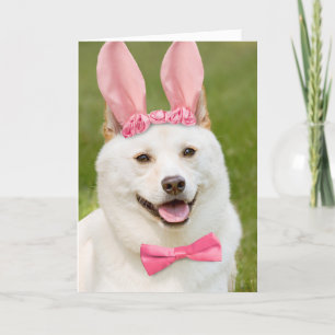 Cartes Pour Fêtes Annuelles Joyeux Pâques N'Importe Qui Shiba Inu Chien Dans L