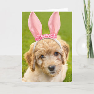 Cartes Pour Fêtes Annuelles Joyeux Pâques pour tout le monde Labradoodle Puppy