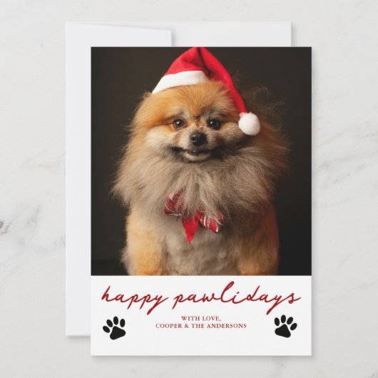 Cartes Pour Fêtes Annuelles Joyeux Pawliday Pet Chien photo Noël (Devant)
