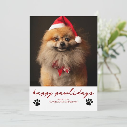 Cartes Pour Fêtes Annuelles Joyeux Pawliday Pet Chien photo Noël (Debout devant)