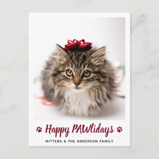 Cartes Pour Fêtes Annuelles Joyeux PAWlidays Amoureux des chats Pet Photo Noël (Devant)