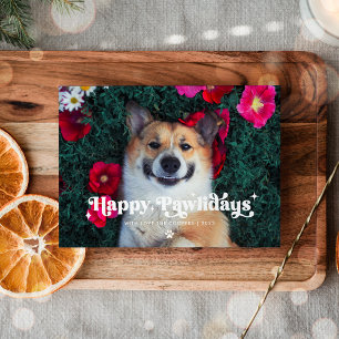 Cartes Pour Fêtes Annuelles Joyeux Pawlidays Chien Photo Drôle Noël