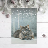 Joyeux Pawlidays Fun Stars Photo Chat