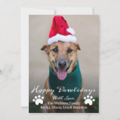 Cartes Pour Fêtes Annuelles Joyeux Pawlidays Pet Chien Chien Chien Chien Chien (Devant)