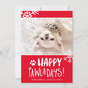 Cartes Pour Fêtes Annuelles Joyeux Pawlidays   Pet Photo Holiday Card