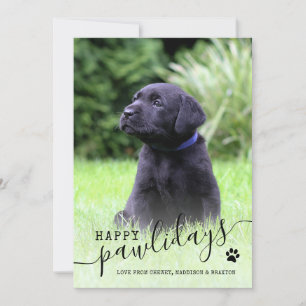Cartes Pour Fêtes Annuelles Joyeux Pawlidays Photo de chiot Noël Animalerie Mo