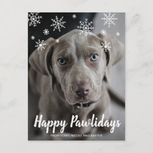 Cartes Pour Fêtes Annuelles Joyeux Pawlidays Snowflakes Chien Photo Noël