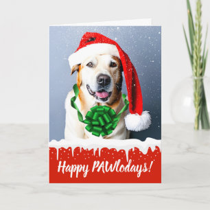Cartes Pour Fêtes Annuelles Joyeux Pawlodays Chien de Noël dans la neige