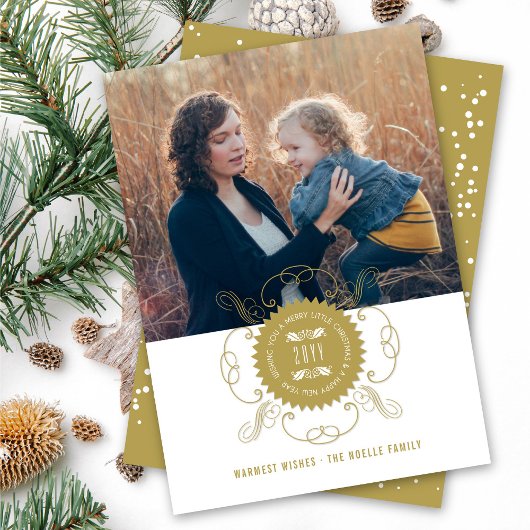 Cartes Pour Fêtes Annuelles Joyeux petit Noël Joyeux Nouvel An Photos du phoqu