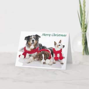 Cartes Pour Fêtes Annuelles Joyeux petits de Noël