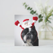 Cartes Pour Fêtes Annuelles Joyeux Portrait de Noël (Debout devant)