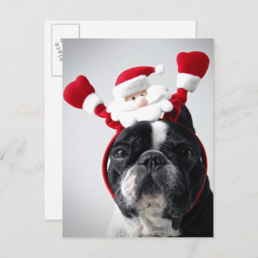 Cartes Pour Fêtes Annuelles Joyeux Portrait de Noël (Devant / Derrière)