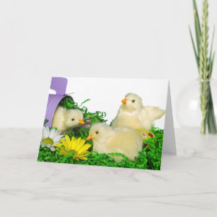Cartes Pour Fêtes Annuelles Joyeux poussins de Pâques