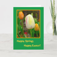 Joyeux printemps ; Joyeuses Pâques ! TULIPES DE PR