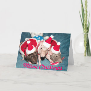 Cartes Pour Fêtes Annuelles Joyeux rat de Noël