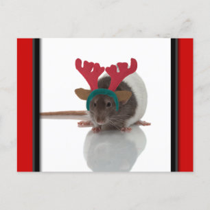 Cartes Pour Fêtes Annuelles Joyeux Ratmas