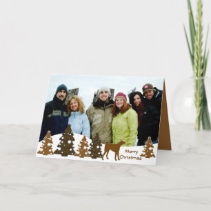 Cartes Pour Fêtes Annuelles Joyeux Sapins de Noël &  Lévrier Gris