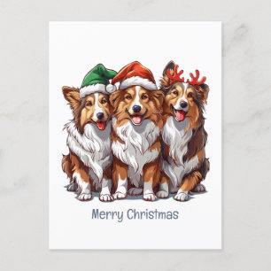 Cartes Pour Fêtes Annuelles Joyeux Sheepdogs de Noël Shetland