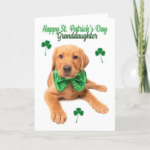 Cartes Pour Fêtes Annuelles Joyeux St Patrick's Day Grand-fille Lab Puppy
