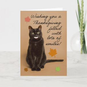 Cartes Pour Fêtes Annuelles Joyeux Thanksgiving à quiconque Drôle de chat avec