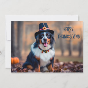 Cartes Pour Fêtes Annuelles Joyeux Thanksgiving Bernese Mountain Dog Pèlerin