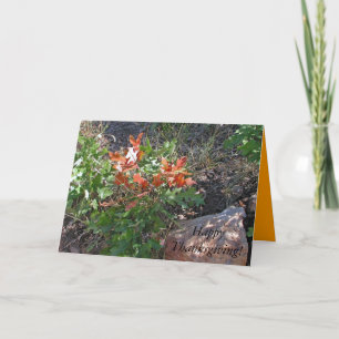 Cartes Pour Fêtes Annuelles Joyeux Thanksgiving! par Janz