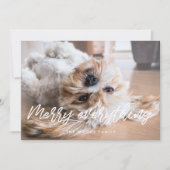 Cartes Pour Fêtes Annuelles Joyeux tout Noël Photo moderne (Devant)