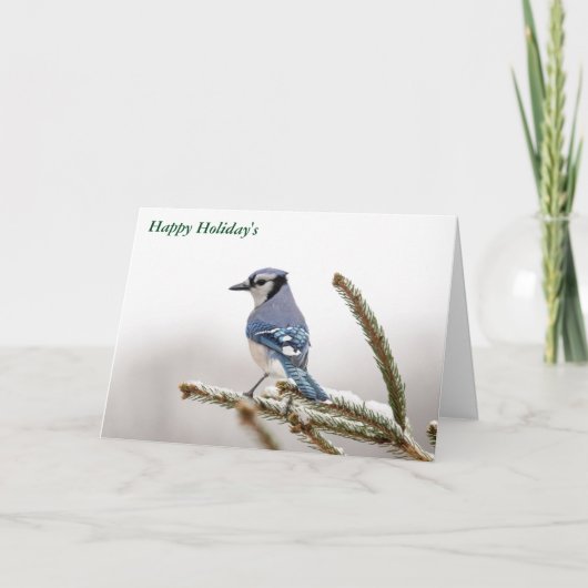 Cartes Pour Fêtes Annuelles Joyeux vacances (Devant)