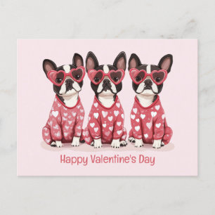Cartes Pour Fêtes Annuelles Joyeux Valentines Day Boston Terrier Chiens