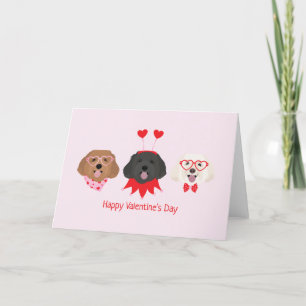 Cartes Pour Fêtes Annuelles Joyeux Valentines Day Chiens de Maltipoo