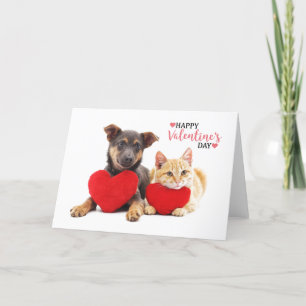 Cartes Pour Fêtes Annuelles Joyeux Valentine's Dog and Cat