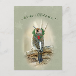 Cartes Pour Fêtes Annuelles Joyeux voeux de Noël - Northern Flicker