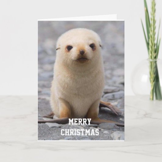 CARTES POUR FÊTES ANNUELLES JOYEZ NOËL "À VOUS !" DE "MOI" (Devant)