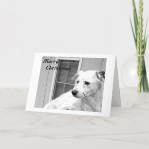 CARTES POUR FÊTES ANNUELLES JOYEZ NOËL DE NOTRE MAISON À VOTRE MAISON