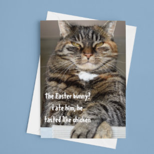 Cartes Pour Fêtes Annuelles Jugement Cat Ate Lapin de Pâques Humour drôle