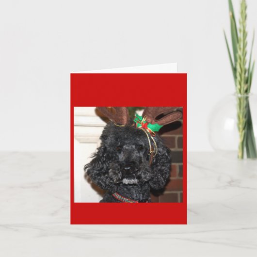 Cartes Pour Fêtes Annuelles Jules Yule. (Devant)