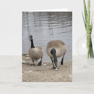 Cartes Pour Fêtes Annuelles Juste les deux de nous