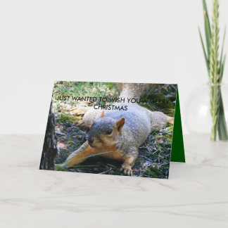 CARTES POUR FÊTES ANNUELLES JUSTE RECHERCHÉ POUR VOUS SOUHAITER JOYEUX CHRIS…