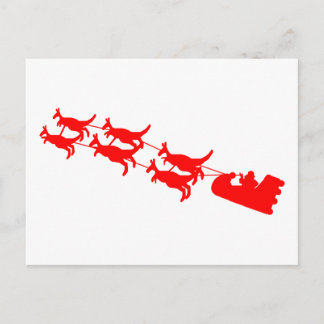 Cartes Pour Fêtes Annuelles Kangaroo Sleigh