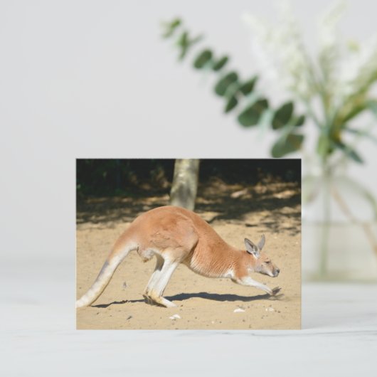 Cartes Pour Fêtes Annuelles Kangourou rouge sur le sable (Debout devant)