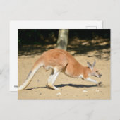 Cartes Pour Fêtes Annuelles Kangourou rouge sur le sable (Devant / Derrière)