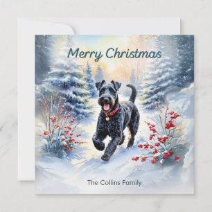 Cartes Pour Fêtes Annuelles Kerry Blue Terrier en hiver neige Joyeux Noël