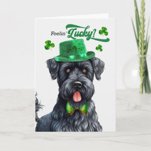 Cartes Pour Fêtes Annuelles Kerry Blue Terrier se sent chanceux à la St-Patric
