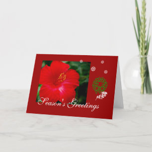 Cartes Pour Fêtes Annuelles Ketmie rouge tropicale d'Hawaï, Joyeux Noël